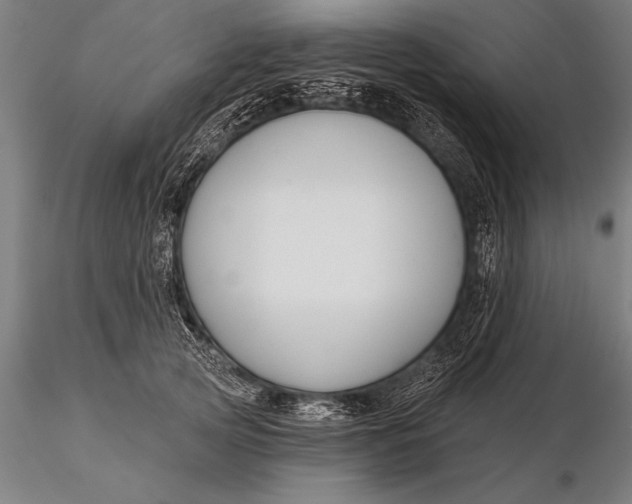 X0000116160753200912141220