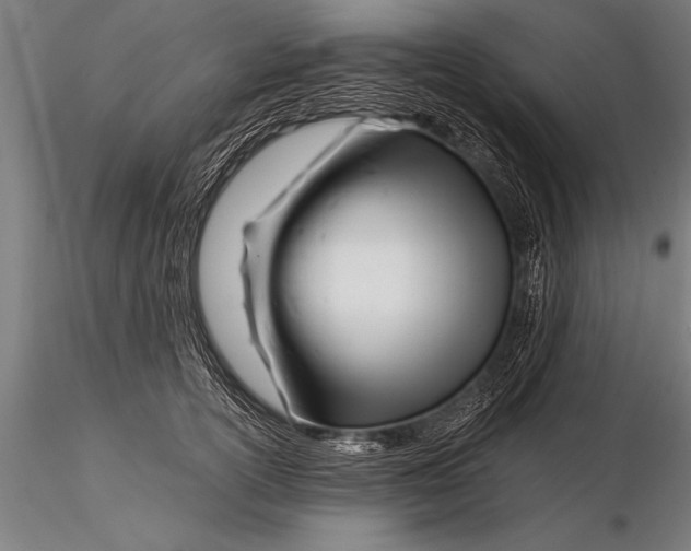 X0000116160754200912141220