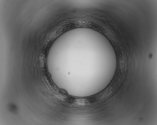 X0000116160757200912141220
