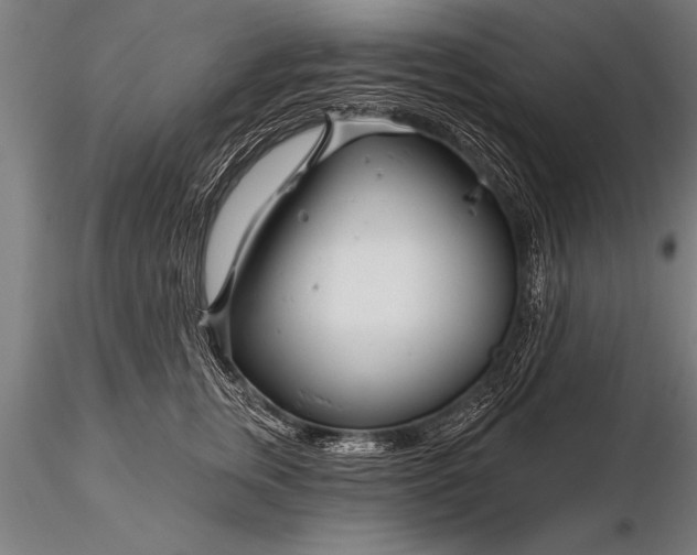 X0000116160759200912141220