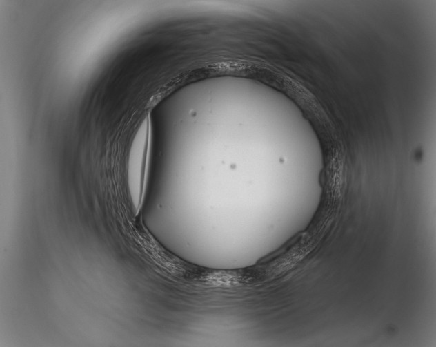 X0000116160762200912141221