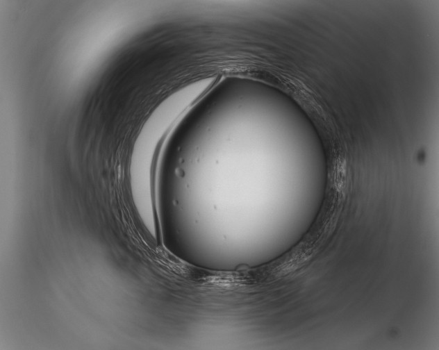 X0000116160763200912141221
