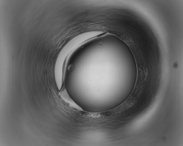 X0000116160767200912141221