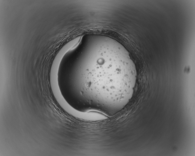 X0000116160769200912141220