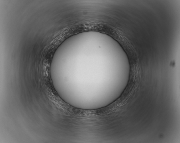 X0000116160770200912141220