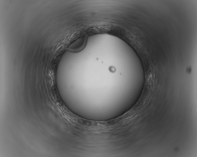 X0000116160772200912141220