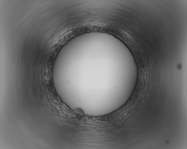 X0000116160774200912141220