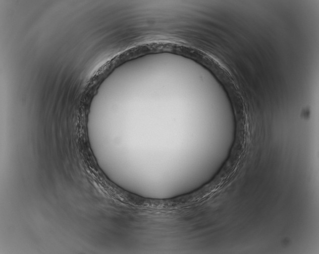 X0000116160775200912141220