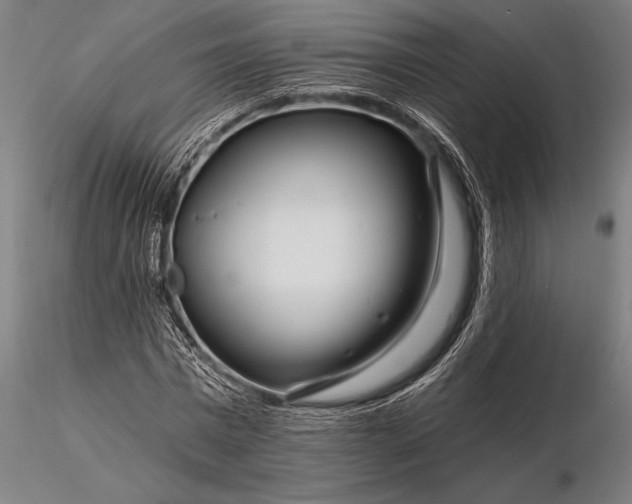 X0000116160777200912141220