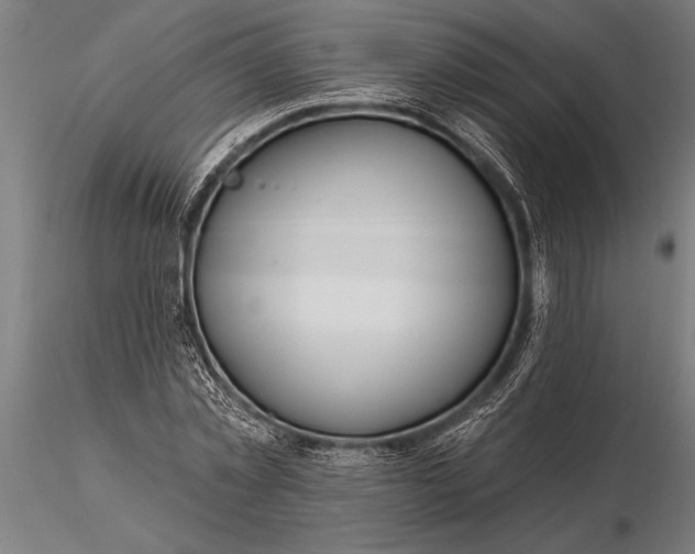 X0000116160781200912141220