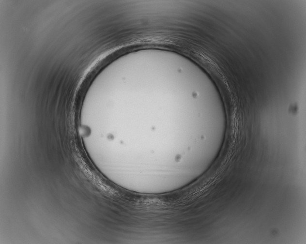 X0000116160784200912141220
