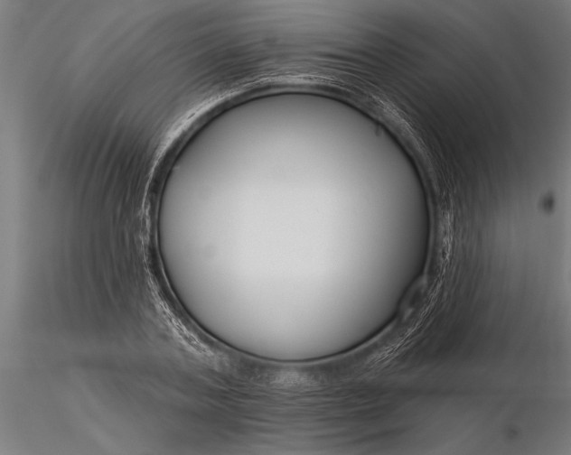 X0000116160787200912141220