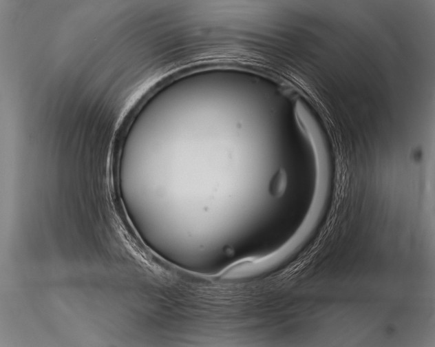 X0000116160788200912141220
