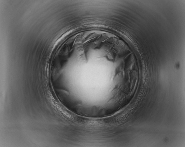 X0000116160790200912141220