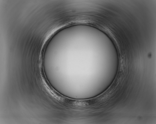 X0000116160795200912141220