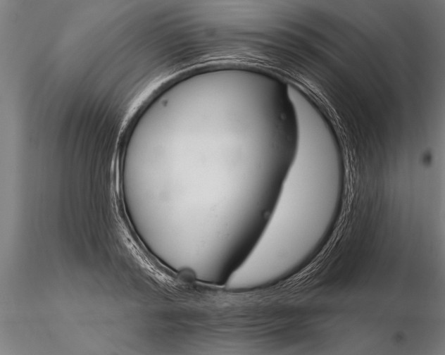 X0000116160796200912141220