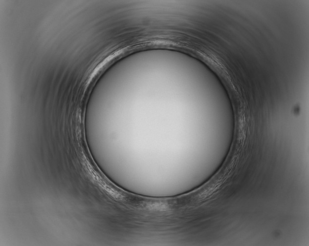 X0000116160798200912141220