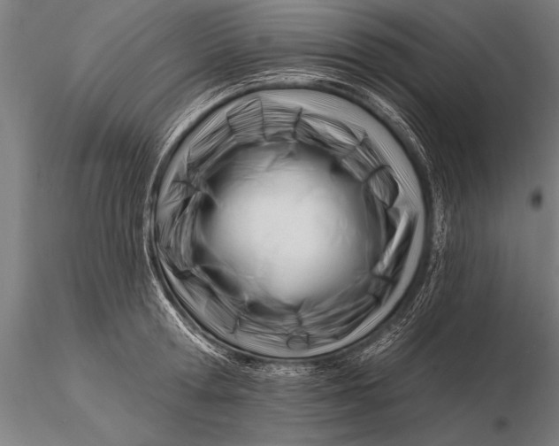 X0000116160802200912141219