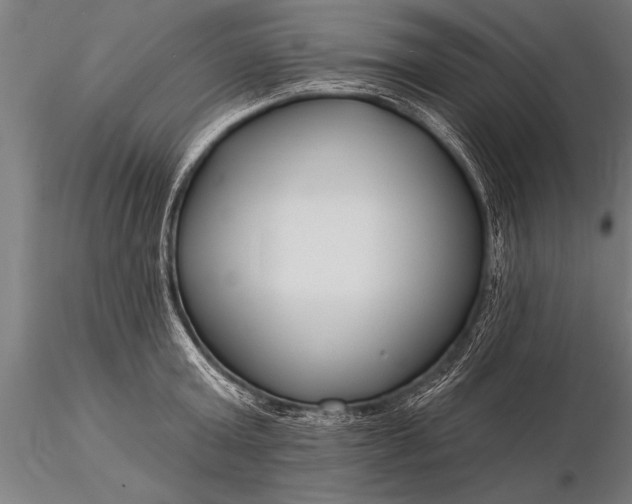 X0000116160803200912141219