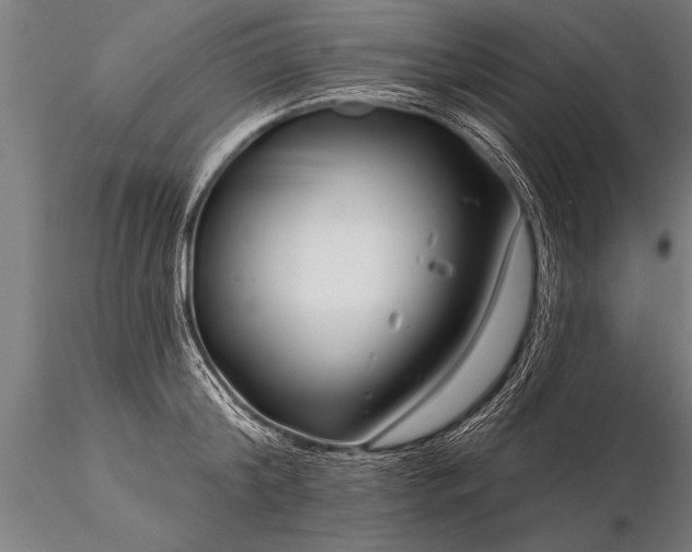 X0000116160804200912141219