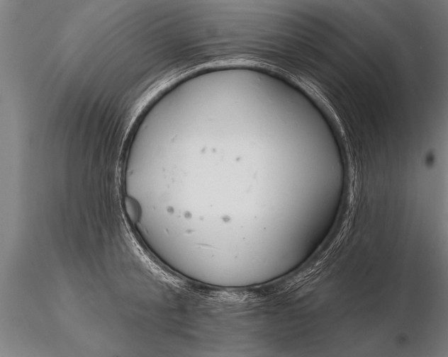 X0000116160805200912141219