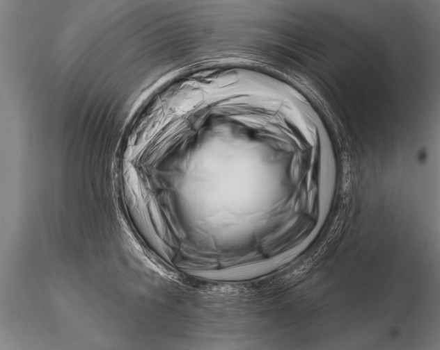 X0000116160806200912141219