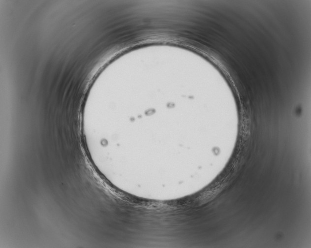 X0000116160807200912141219