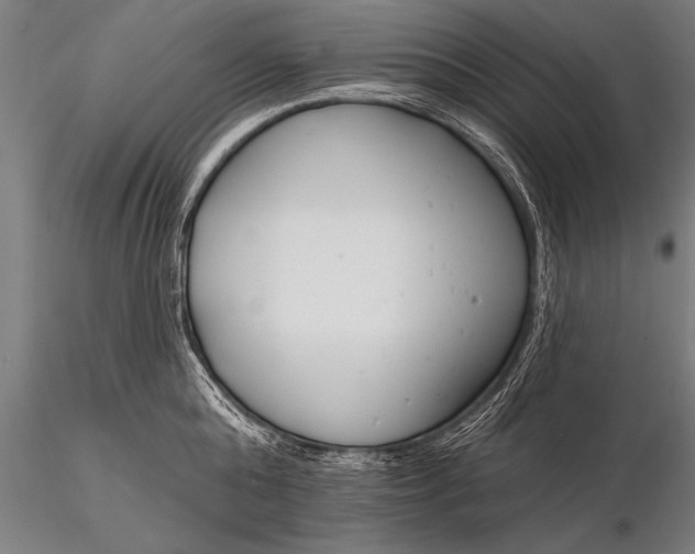X0000116160808200912141219