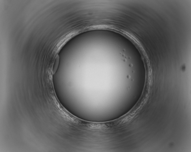X0000116160809200912141219