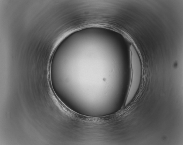 X0000116160811200912141219