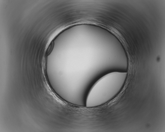 X0000116160812200912141219