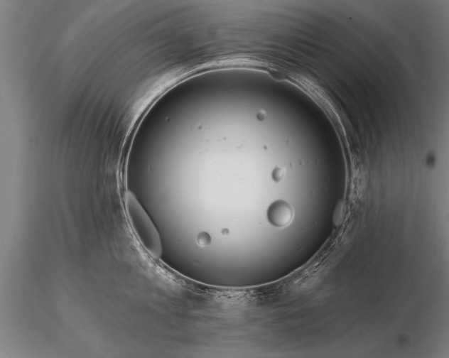 X0000116160813200912141219