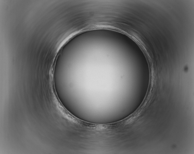 X0000116160814200912141219