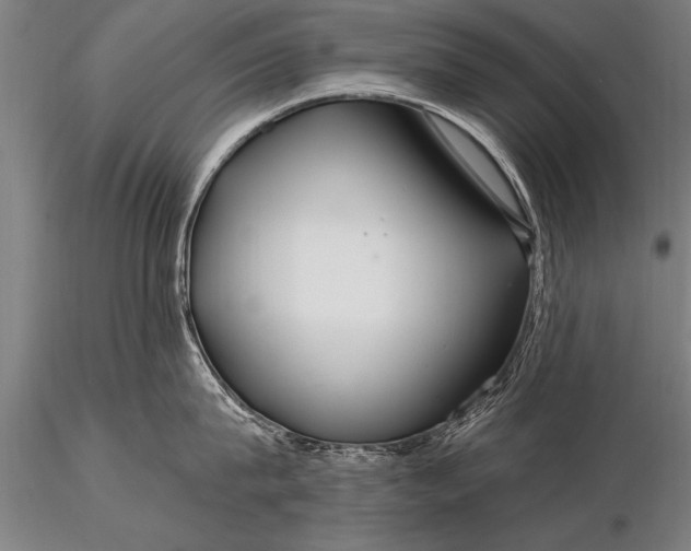X0000116160815200912141219