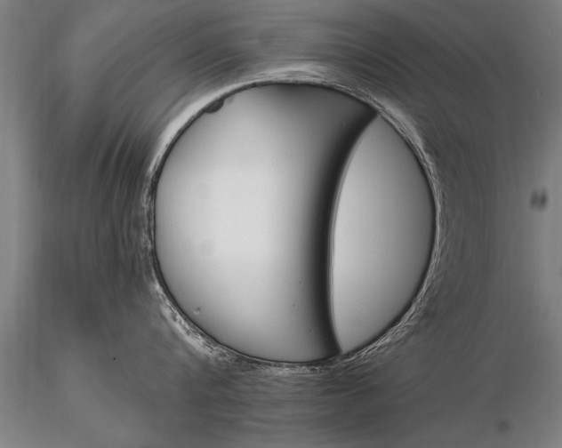 X0000116160816200912141219