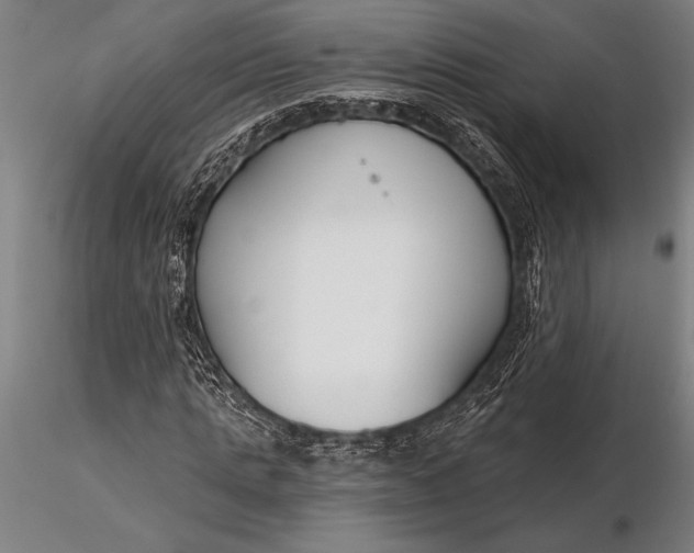 X0000116160821200912141219