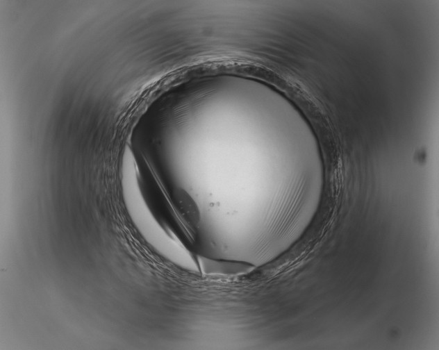 X0000116160822200912141219