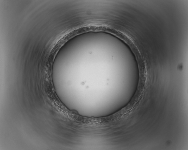 X0000116160823200912141219