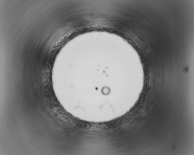 X0000116160824200912141219