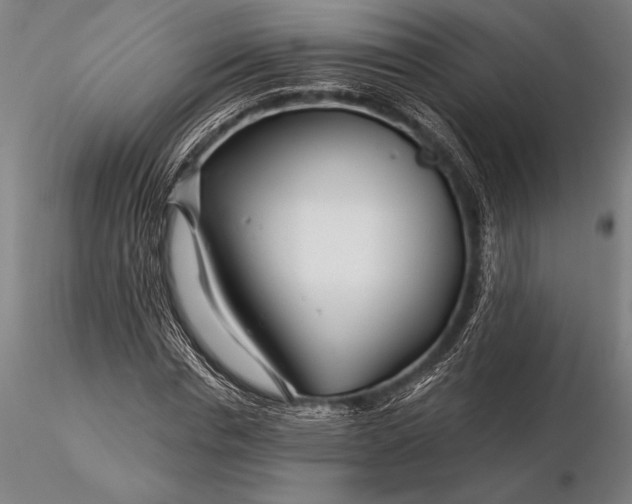 X0000116160826200912141219
