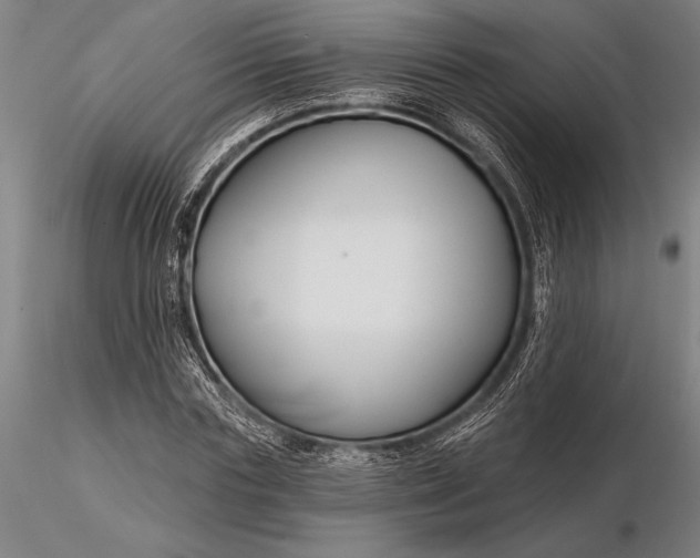 X0000116160827200912141219