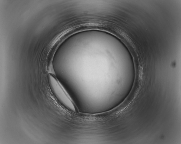 X0000116160829200912141219