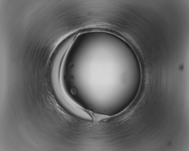 X0000116160830200912141219