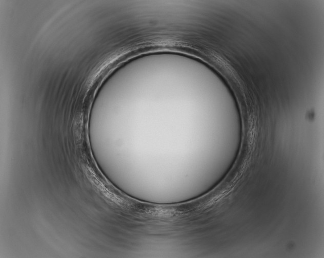 X0000116160831200912141219