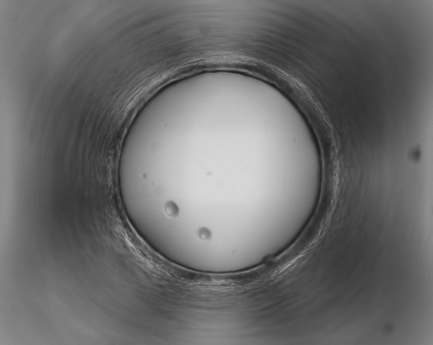 X0000116160833200912141219