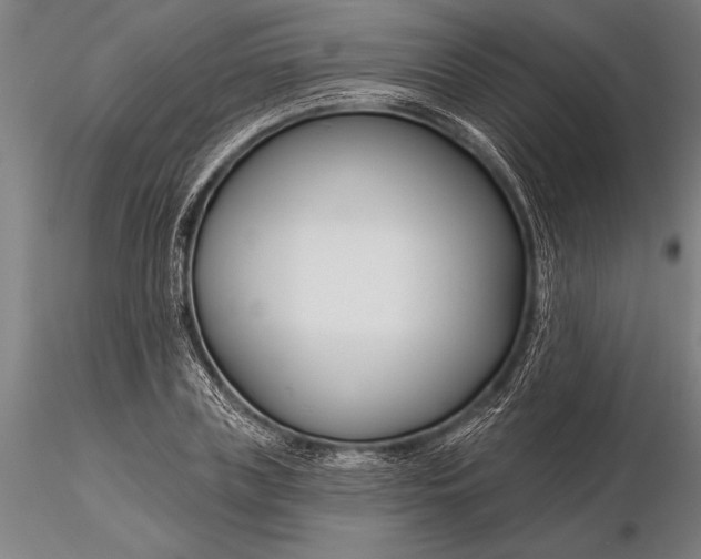 X0000116160835200912141219
