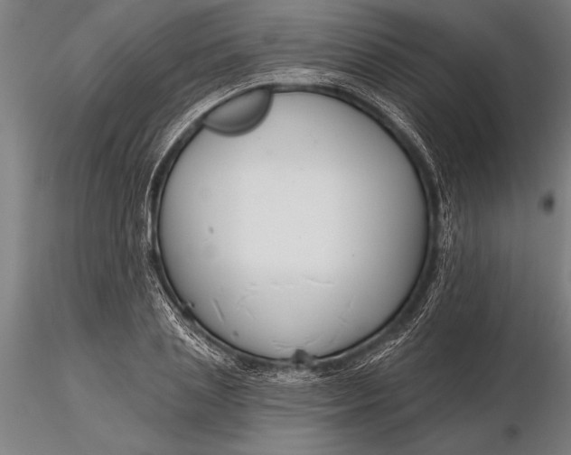 X0000116160837200912141219