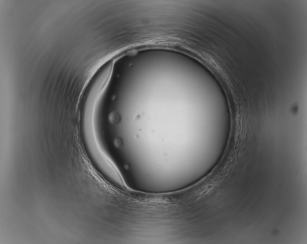 X0000116160838200912141219