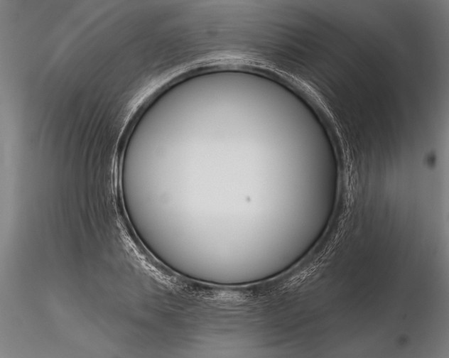 X0000116160839200912141219