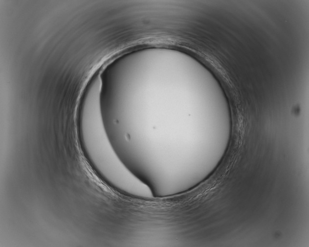X0000116160840200912141219